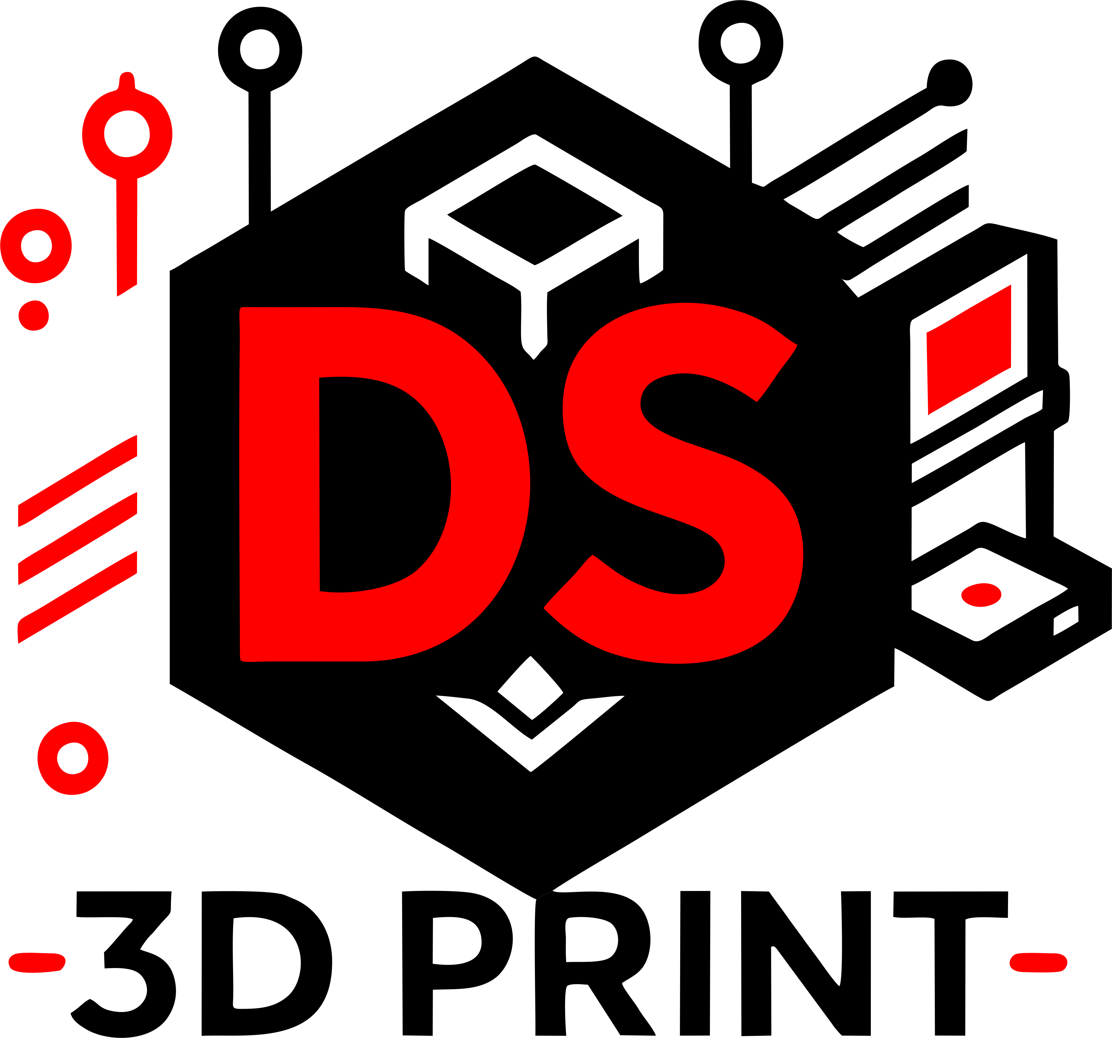 DS 3D PRINT